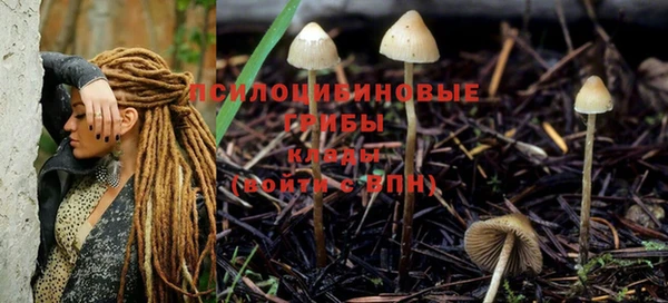 спиды Балабаново