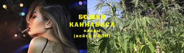 ПСИЛОЦИБИНОВЫЕ ГРИБЫ Аркадак
