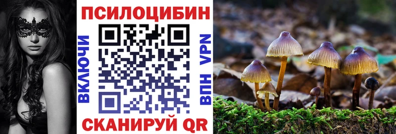 Псилоцибиновые грибы мицелий  Выкса 